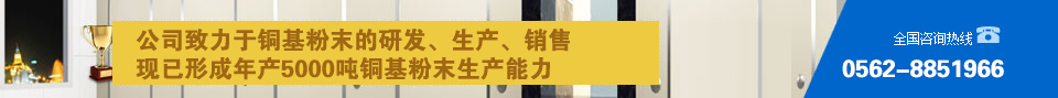 銅陵國(guó)傳電子材料科技有限公司